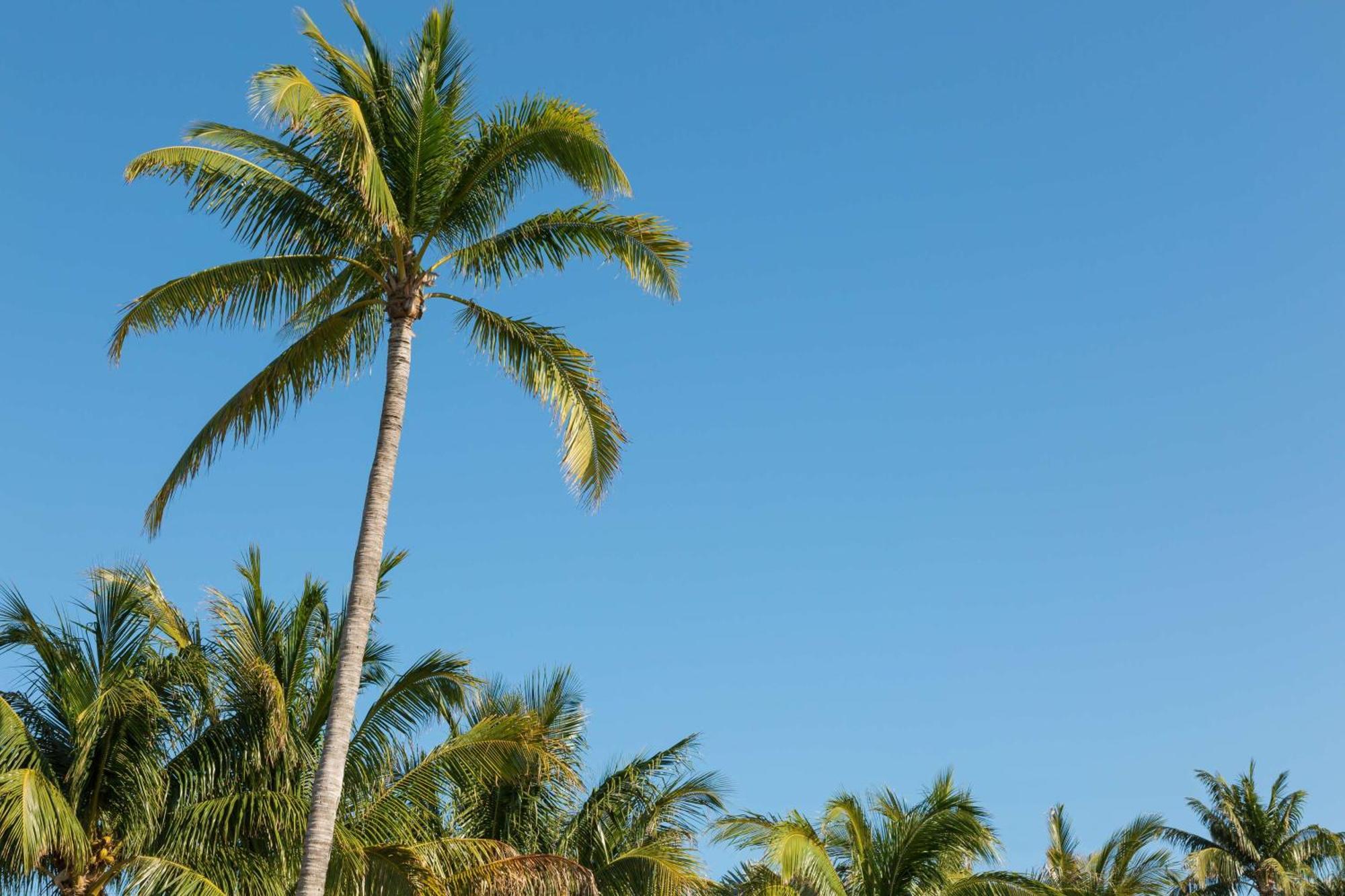 Hilton Garden Inn Key West / The Keys Collection Exterior foto